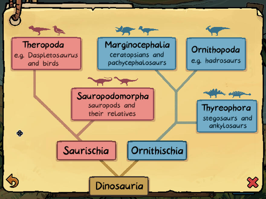 Cladogram